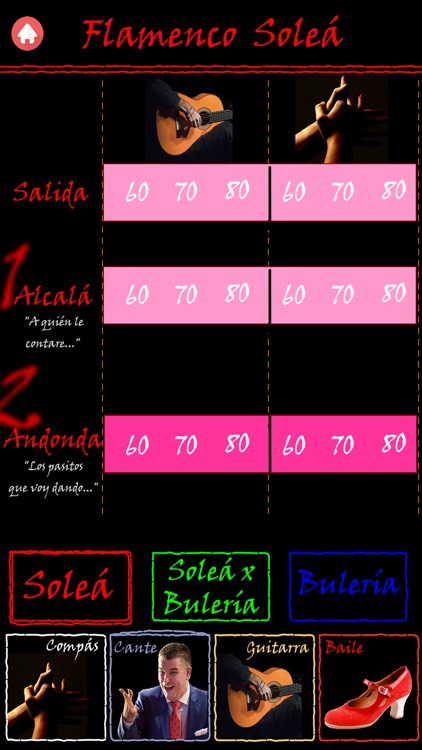 Flamenco Solea screenshot-3