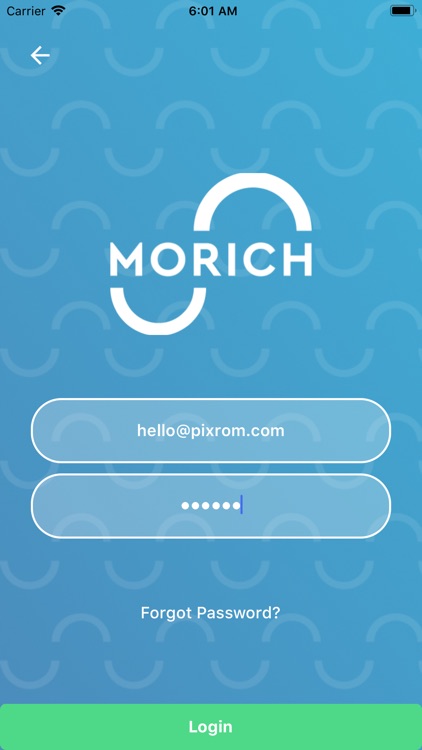 Morich Worldwide