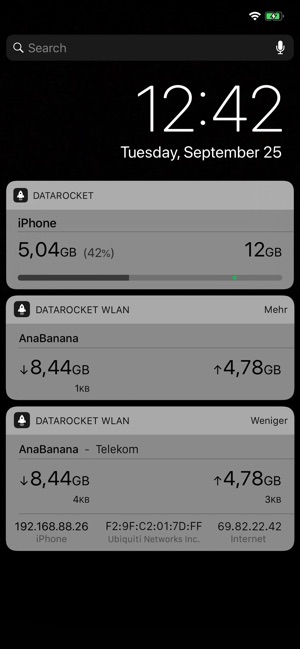 DataRocket Data Usage Monitor