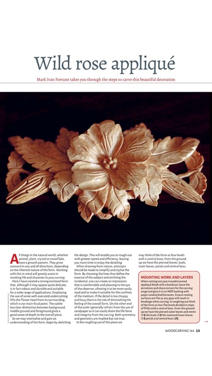 Woodcarving Magazine
