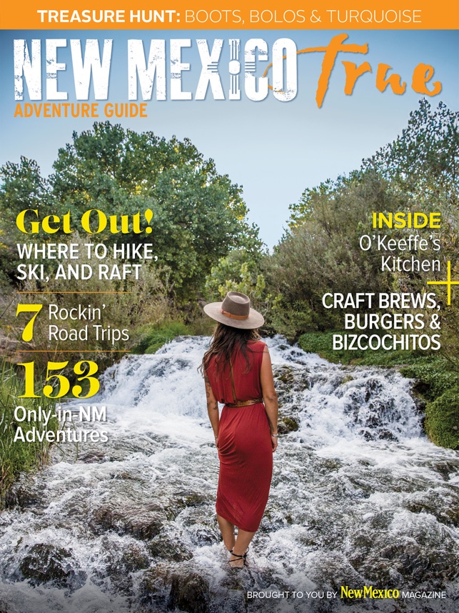 New Mexico Vacation Guide+