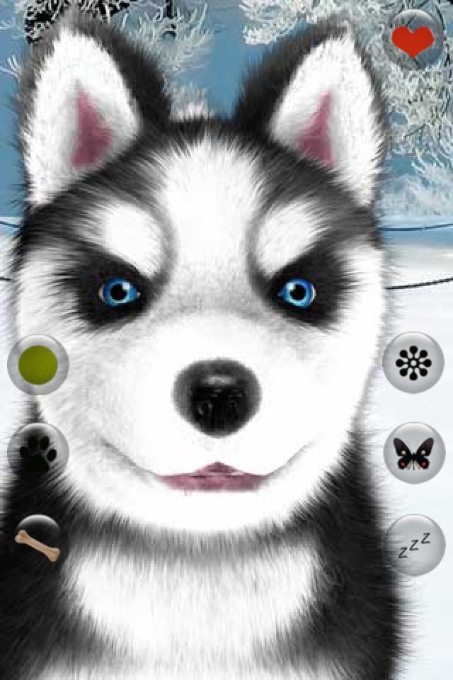 Talking Dog Virtual Pet Husky screenshot 2