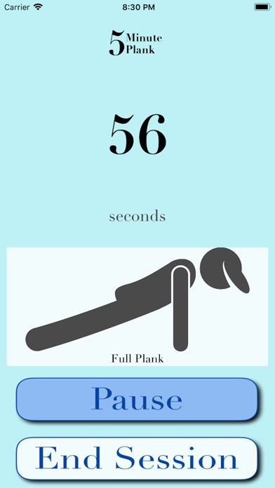 5 Minute Plank screenshot 3