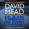 David Mead Twelve Bar Blues