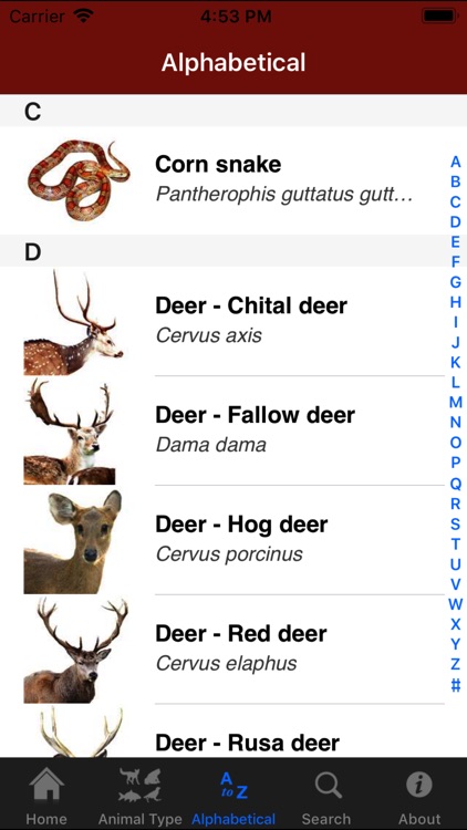 Field Guide to Pest Animals