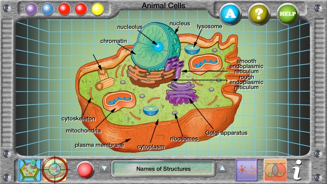 Plant and Animal Cells trên App Store
