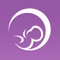 Premom is the best ovulation calculator and period tracker companion