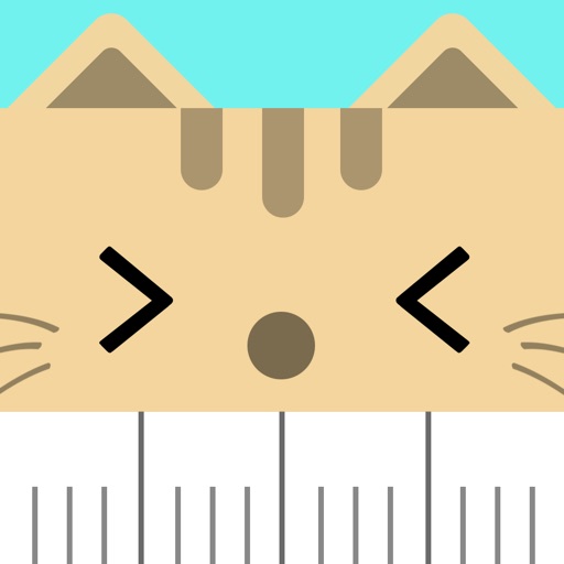 Hakaru - Measure Cat