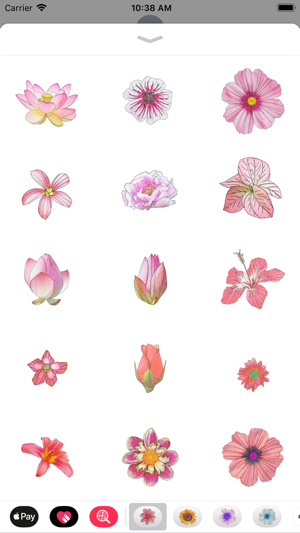 Pink Flower Sticker Pack(圖3)-速報App