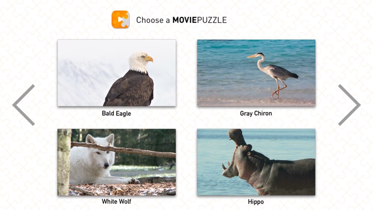 MoviePuzzles – Wild Animals