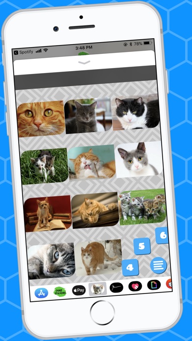 Lovable Cat Stickers screenshot 4