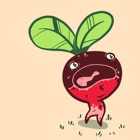 Radish Pals