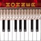 Hohner announces a brand new music app for the iPhone: The Hohner Piano Mini Accordion