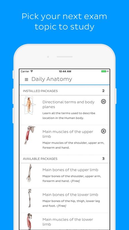 3 Minutes To Hack Daily Anatomy Flashcards Unlimited Trycheat