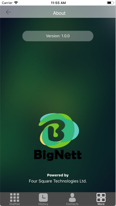 How to cancel & delete BigNett from iphone & ipad 4