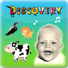 Activities of Kids Discovery - Moo Box