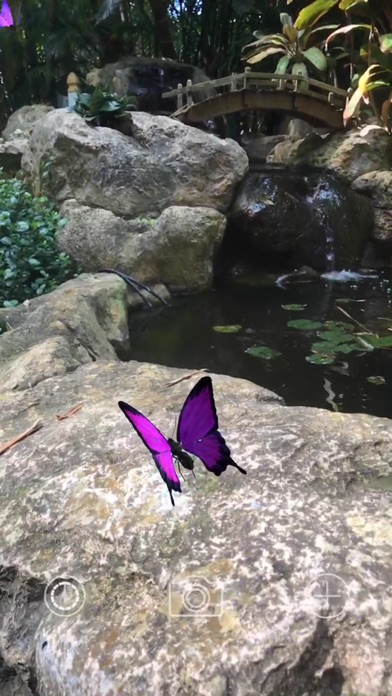 AR Butterflies screenshot 3