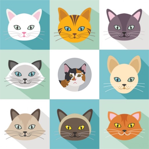 Cat Breeds Quiz icon