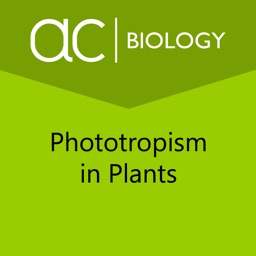 Phototropism in Plants