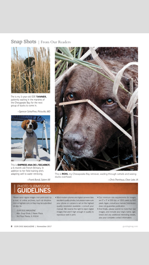 Gun Dog Magazine(圖4)-速報App