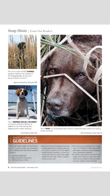Gun Dog Magazine screenshot-3
