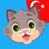 LearnEasy - app for learning Turkish words