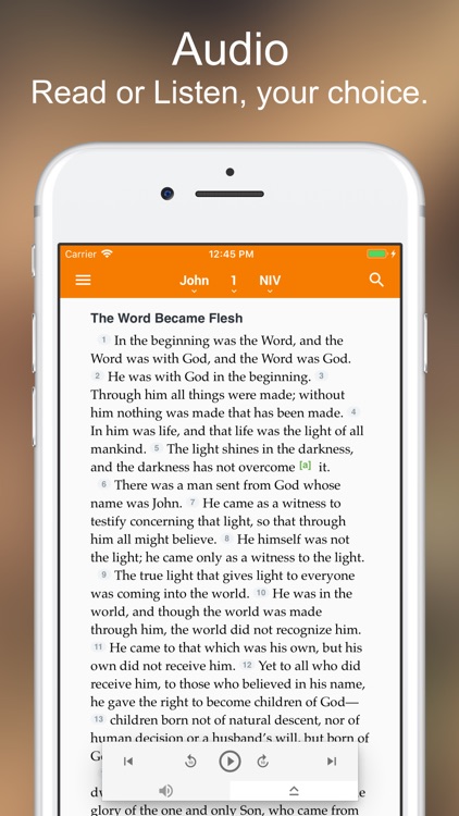Bible +1 screenshot-3