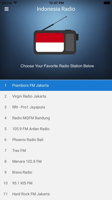 Indonesia Radio: Indonesian FM screenshot 2