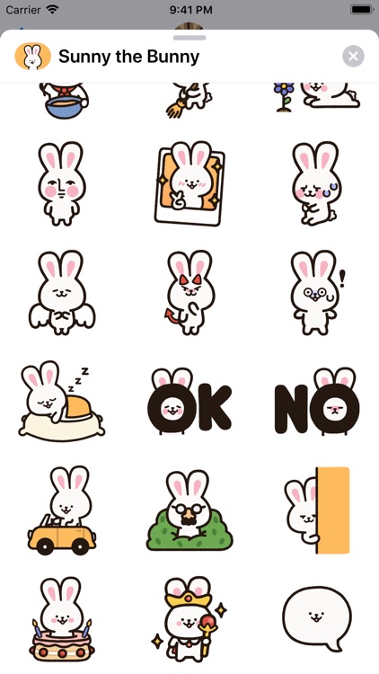 Sunny the Bunny screenshot-3