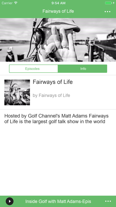 Fairways of Life screenshot 2