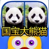 Find out the differences - Panda of china