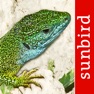 Get Reptile Id - UK Field Guide for iOS, iPhone, iPad Aso Report