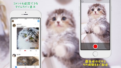 Telecharger ねこライブ 猫専用 写真 動画 ライブ配信アプリ Pour Iphone Ipad Sur L App Store Photo Et Video