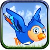 Bird Control - Wings And Fly! - iPadアプリ