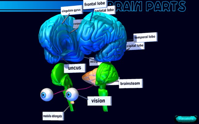 Brain Parts 3D(圖2)-速報App