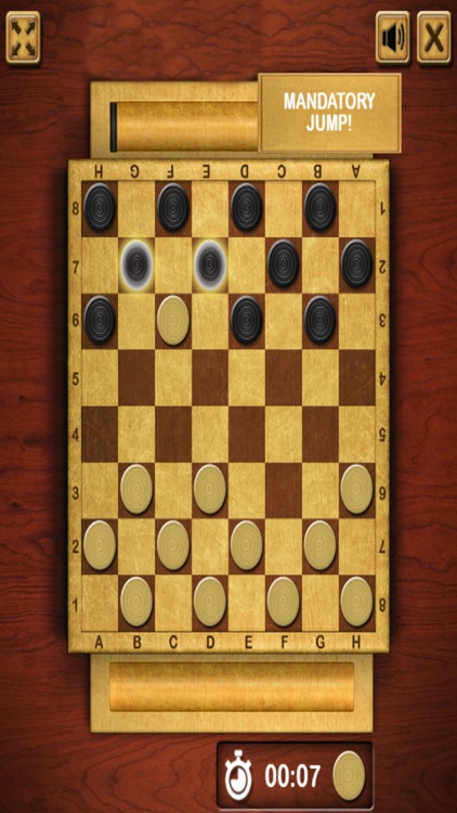 Master Of The Checkers Puzzle