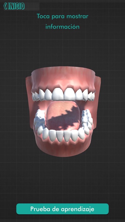 Incisivos Centrales screenshot-3