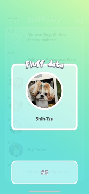 FluffHunt(圖4)-速報App