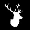 Bald Faced Stag