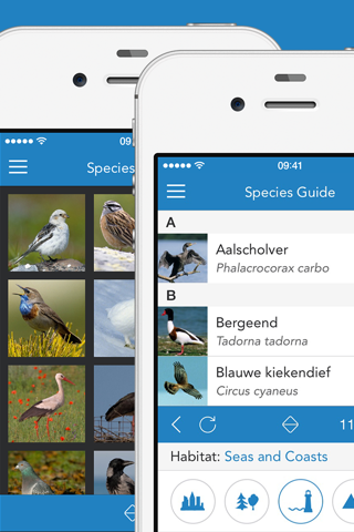 iKnow Birds 2 PRO - Europe screenshot 2