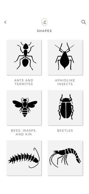 Fieldstone Guide: Insects(圖4)-速報App