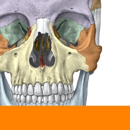 Sobotta Anatomy