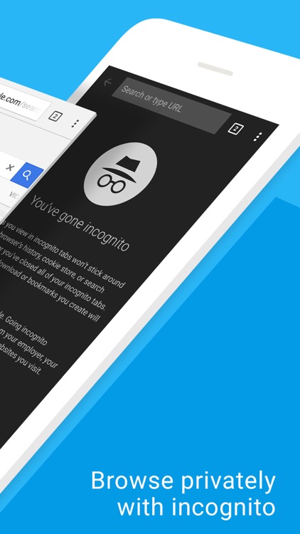 Google Chrome