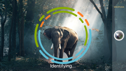 AnimalSnap - Animal Identifier screenshot 3