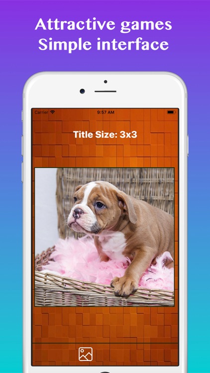 Puzzle: Slide & Jigsaw Game