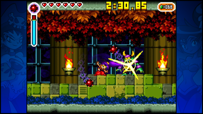 Screenshot from Shantae: Risky's Revenge