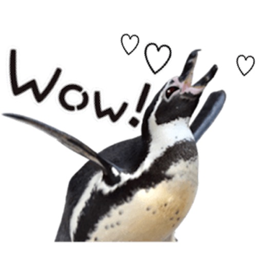 Funny Talking Penguin Sticker