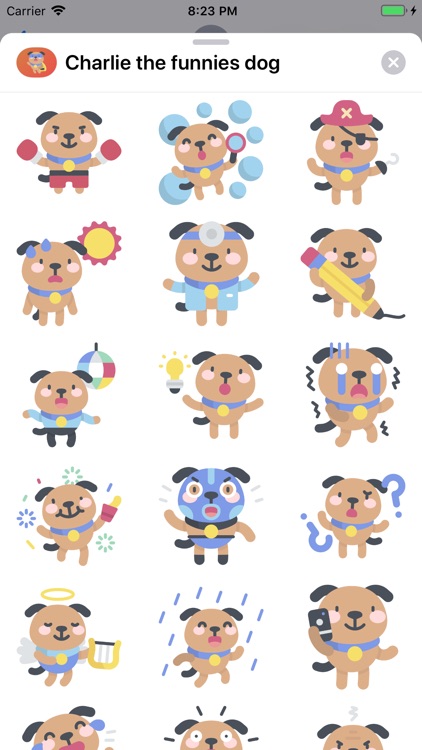 Charlie the funniest dog