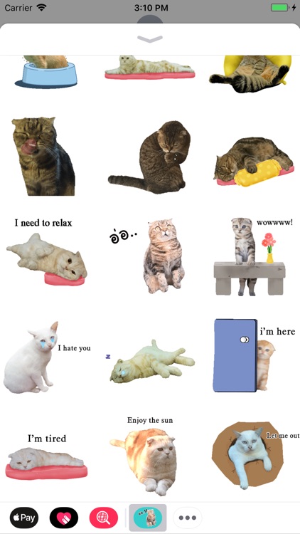 Oh My Cat Animated Stickers