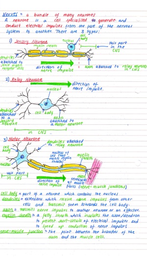 Pocket Notes - GCSE Science(圖5)-速報App